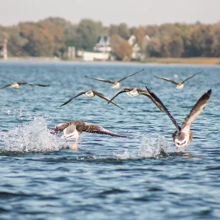 In With Sauna Feriehus